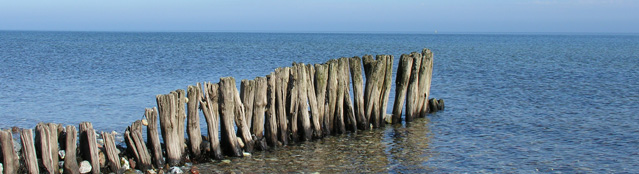 Holz und Wasser