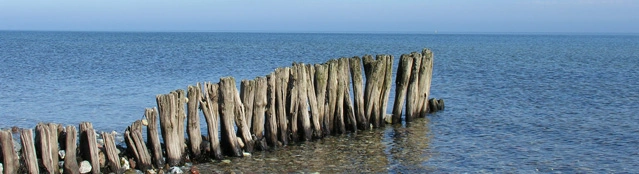 Holz und Wasser