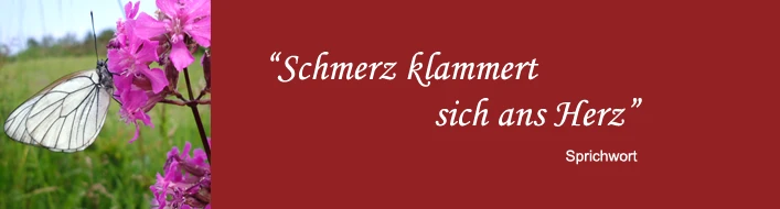 Chronischer-Schmerz
